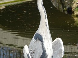 Tiergarten Schönbrunn am 23.03.2023